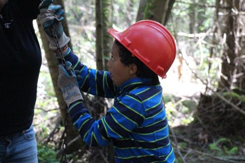 pulling down a tree